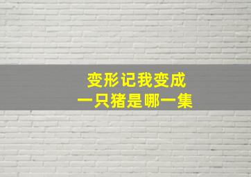 变形记我变成一只猪是哪一集