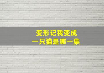 变形记我变成一只猫是哪一集