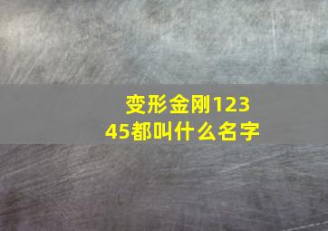 变形金刚12345都叫什么名字