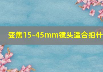 变焦15-45mm镜头适合拍什么