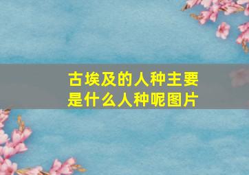 古埃及的人种主要是什么人种呢图片