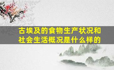 古埃及的食物生产状况和社会生活概况是什么样的