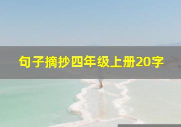 句子摘抄四年级上册20字