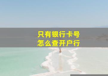 只有银行卡号怎么查开户行