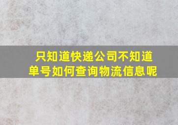 只知道快递公司不知道单号如何查询物流信息呢