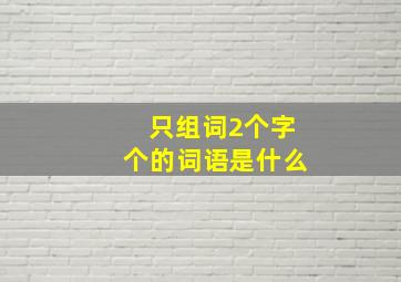 只组词2个字个的词语是什么