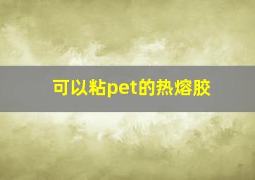 可以粘pet的热熔胶