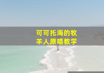 可可托海的牧羊人原唱教学