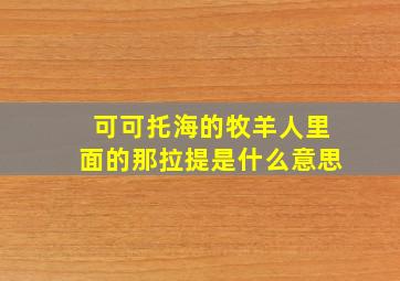 可可托海的牧羊人里面的那拉提是什么意思