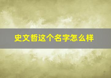 史文哲这个名字怎么样