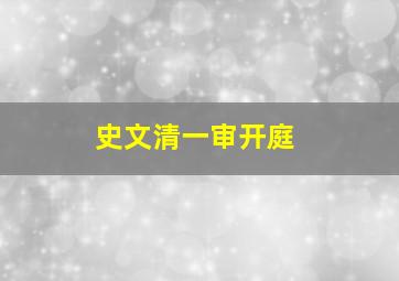 史文清一审开庭