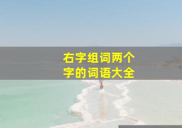 右字组词两个字的词语大全