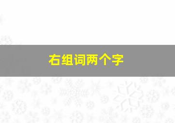 右组词两个字