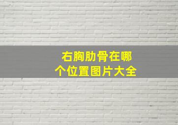 右胸肋骨在哪个位置图片大全