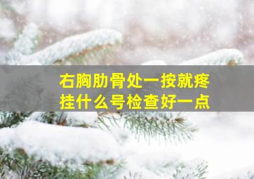 右胸肋骨处一按就疼挂什么号检查好一点