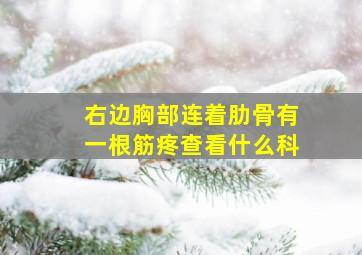 右边胸部连着肋骨有一根筋疼查看什么科