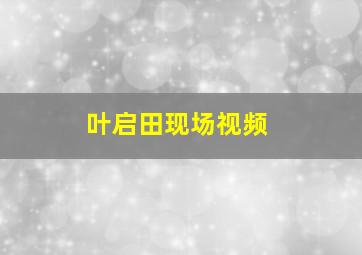 叶启田现场视频