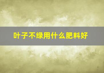 叶子不绿用什么肥料好