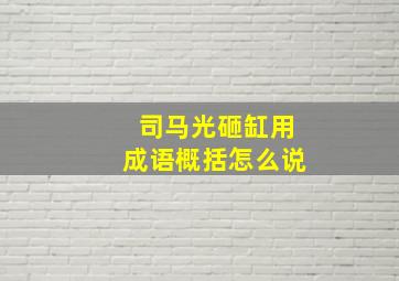 司马光砸缸用成语概括怎么说