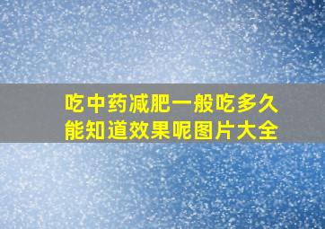 吃中药减肥一般吃多久能知道效果呢图片大全