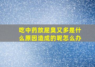 吃中药放屁臭又多是什么原因造成的呢怎么办