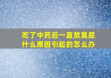 吃了中药后一直放臭屁什么原因引起的怎么办