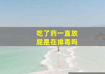 吃了药一直放屁是在排毒吗