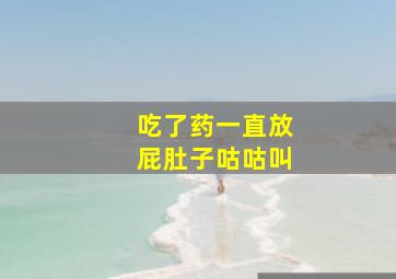 吃了药一直放屁肚子咕咕叫