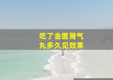 吃了金匮肾气丸多久见效果