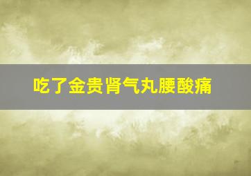 吃了金贵肾气丸腰酸痛