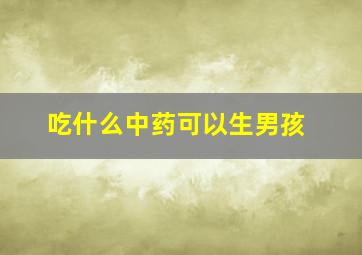 吃什么中药可以生男孩