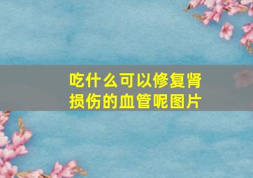 吃什么可以修复肾损伤的血管呢图片