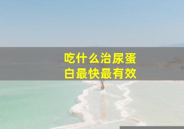 吃什么治尿蛋白最快最有效