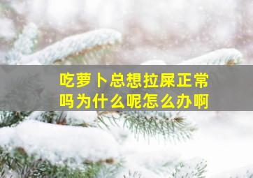 吃萝卜总想拉屎正常吗为什么呢怎么办啊