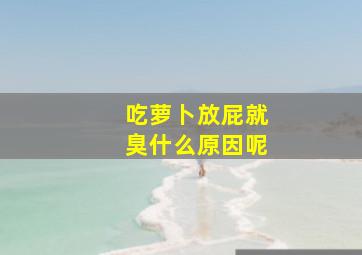 吃萝卜放屁就臭什么原因呢