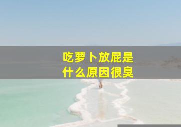 吃萝卜放屁是什么原因很臭