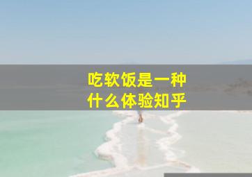 吃软饭是一种什么体验知乎