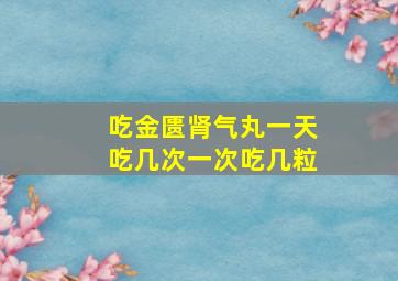 吃金匮肾气丸一天吃几次一次吃几粒