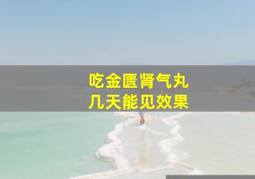 吃金匮肾气丸几天能见效果