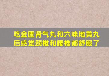 吃金匮肾气丸和六味地黄丸后感觉颈椎和腰椎都舒服了