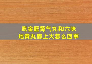 吃金匮肾气丸和六味地黄丸都上火怎么回事