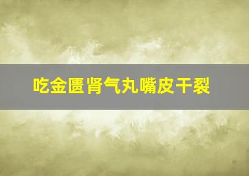 吃金匮肾气丸嘴皮干裂