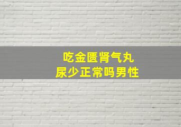 吃金匮肾气丸尿少正常吗男性