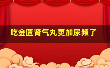 吃金匮肾气丸更加尿频了