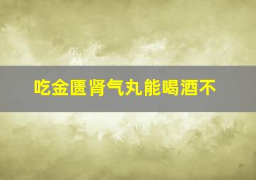 吃金匮肾气丸能喝酒不