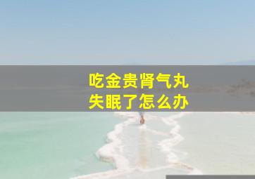 吃金贵肾气丸失眠了怎么办