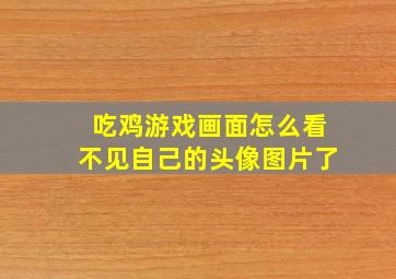 吃鸡游戏画面怎么看不见自己的头像图片了