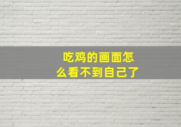 吃鸡的画面怎么看不到自己了