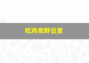 吃鸡视野设置