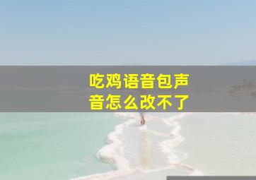 吃鸡语音包声音怎么改不了